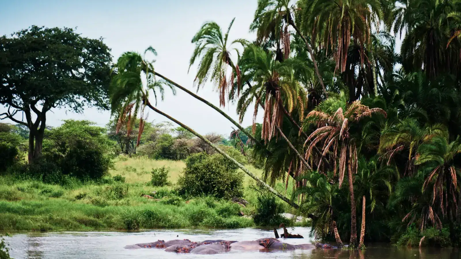 Gabon